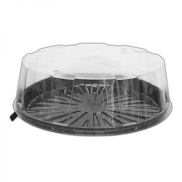 Cake Domes